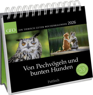Postkartenkalender 2026: Von Pechvögeln und bunten Hunden