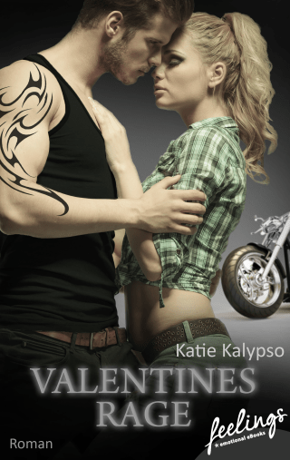 Buchcover von Valentines Rage: Roman
