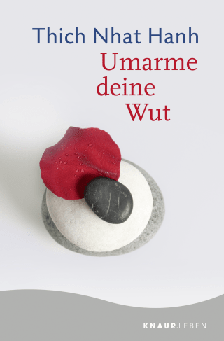 Buchcover von Umarme deine Wut