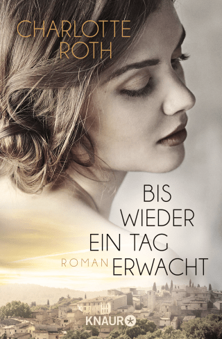 Buchcover von Bis wieder ein Tag erwacht: Roman