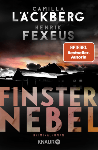 Buchcover von Finsternebel: Kriminalroman
