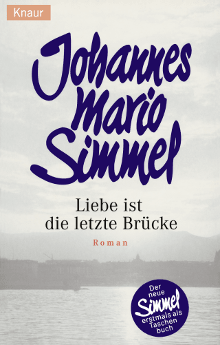 Buchcover von Liebe ist die letzte Brücke