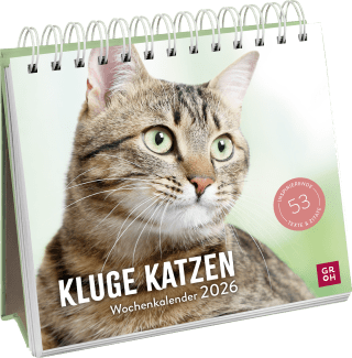 Wochenkalender 2026: Kluge Katzen
