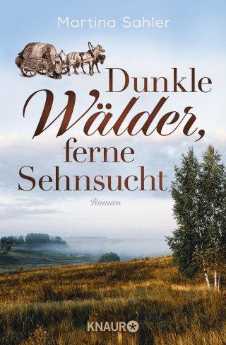 Buchcover von Dunkle Wälder, ferne Sehnsucht: Roman