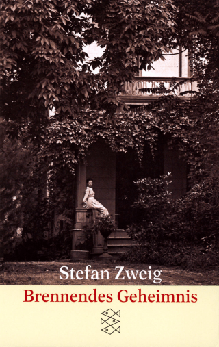Buchcover von Brennendes Geheimnis: Erzählung