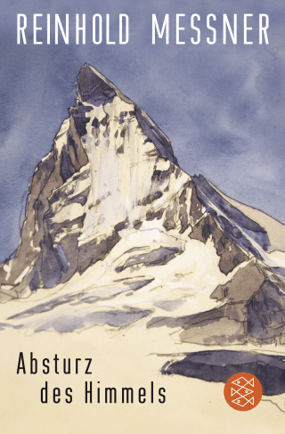 Buchcover von Absturz des Himmels
