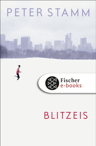 Buchcover von Blitzeis: Erzählungen