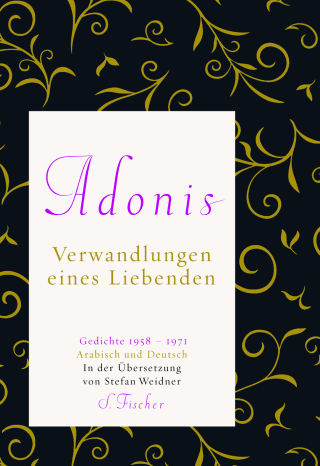 Buchcover von Verwandlungen eines Liebenden: Gedichte 1958 - 1971