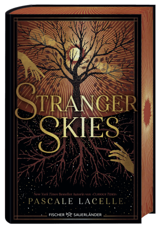 Buchcover von Stranger Skies
