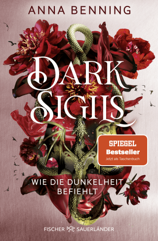 Buchcover von Dark Sigils – Wie die Dunkelheit befiehlt: Band 2