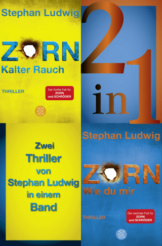 Kalter Rauch / Wie du mir - Zwei Zorn-Thriller in einem Band