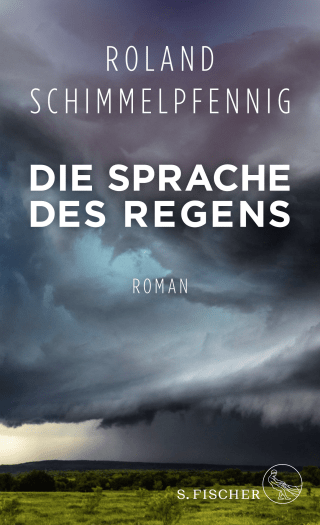 Buchcover von Die Sprache des Regens: Roman