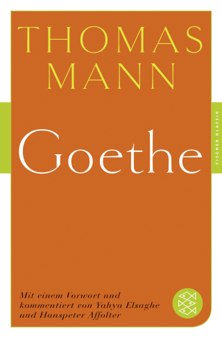 Buchcover von Goethe