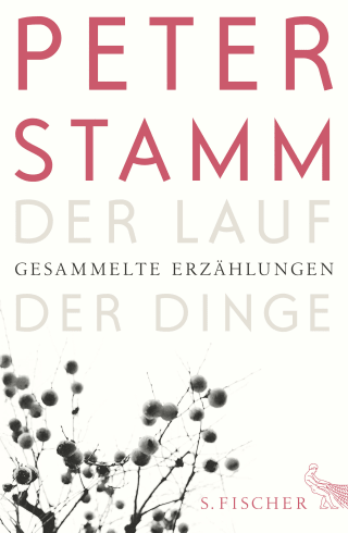 Buchcover von Der Lauf der Dinge: Gesammelte Erzählungen