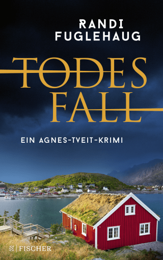 Buchcover von Todesfall: Ein Agnes-Tveit-Krimi