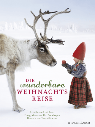 Die wunderbare Weihnachtsreise