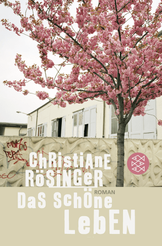 Buchcover von Das schöne Leben: Roman