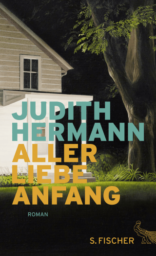Buchcover von Aller Liebe Anfang: Roman