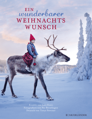 Buchcover von Ein wunderbarer Weihnachtswunsch