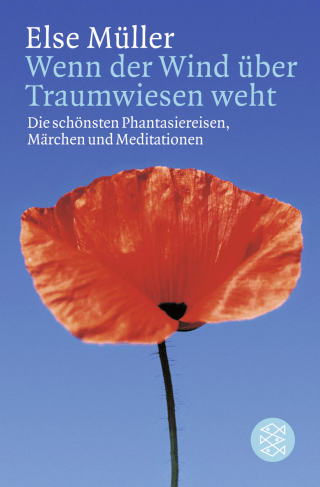 Buchcover von Wenn der Wind über Traumwiesen weht: Die schönsten Phantasiereisen, Märchen und Meditationen