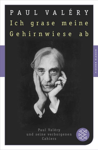 Buchcover von Ich grase meine Gehirnwiese ab: Paul Valéry und seine verborgenen Cahiers