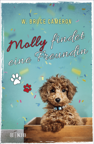 Buchcover von Molly findet eine Freundin: Band 3