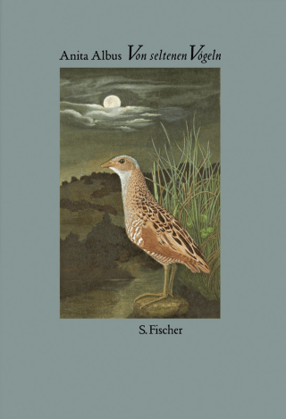 Buchcover von Von seltenen Vögeln