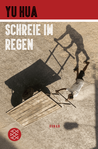 Buchcover von Schreie im Regen: Roman