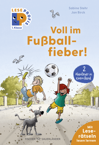 Buchcover von Leseprofis – Voll im Fußballfieber!, 1. Klasse (Doppelband)