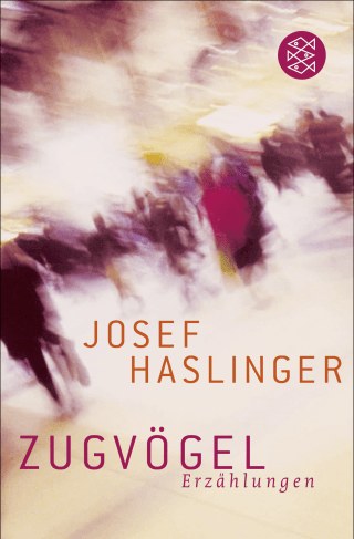Buchcover von Zugvögel: Erzählungen