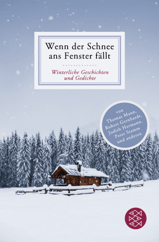 Buchcover von Wenn der Schnee ans Fenster fällt: Winterliche Geschichten und Gedichte