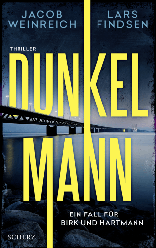 Buchcover von Dunkelmann: Thriller