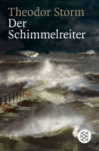 Buchcover von Der Schimmelreiter: Novelle