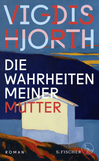 Buchcover von Die Wahrheiten meiner Mutter: Roman