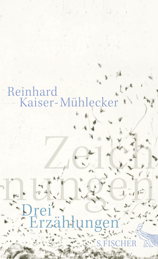 Buchcover von Zeichnungen: Drei Erzählungen