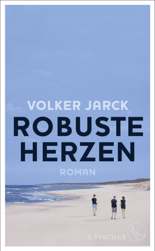 Buchcover von Robuste Herzen: Roman