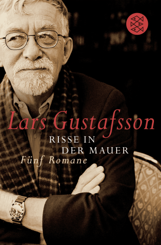 Buchcover von Risse in der Mauer: Fünf Romane