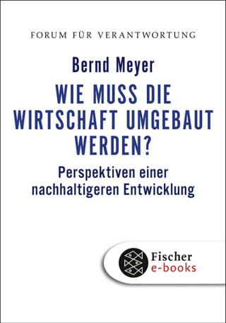 Buchcover von Wie muss die Wirtschaft umgebaut werden?: Perspektiven einer nachhaltigeren Entwicklung