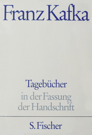 Tagebücher, Kommentar