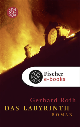 Buchcover von Das Labyrinth: Roman