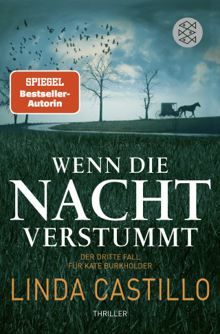 Wenn die Nacht verstummt