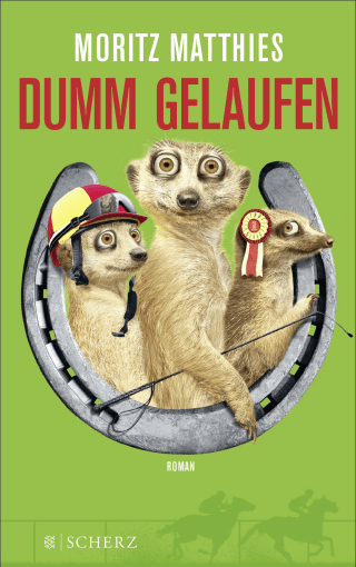 Dumm gelaufen