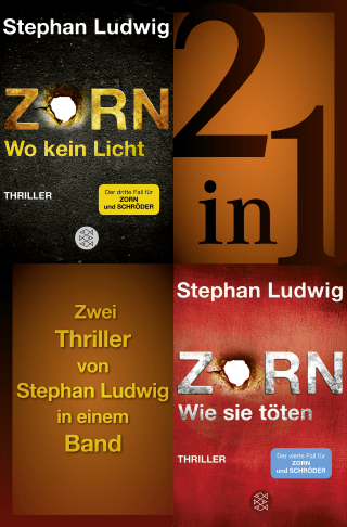Wo kein Licht / Wie sie töten - Zwei Zorn-Thriller in einem Band