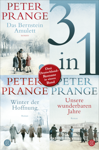 Das Bernstein-Amulett / Winter der Hoffnung / Unsere wunderbaren Jahre - Drei Deutschland-Romane in einem Band