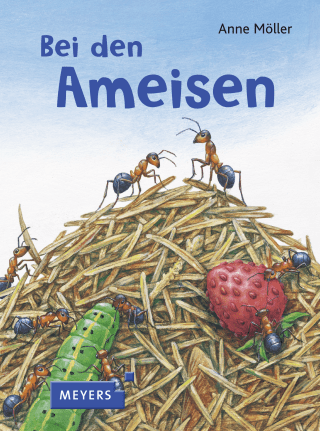 Visit the Ants