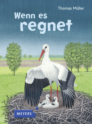 What Do Animals Do When It Rains?