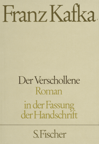 Buchcover von Der Verschollene: Roman