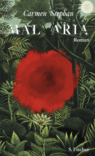 Buchcover von Mal Aria: Roman