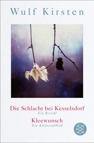 Buchcover von Die Schlacht bei Kesselsdorf. Ein Bericht / Kleewunsch. Ein Kleinstadtbild