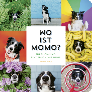 Buchcover von Wo ist Momo?: Ein Such- und Findebuch mit Hund